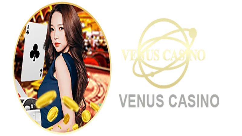 521 bet Informações básicas sobre o saguão do cassino Venus